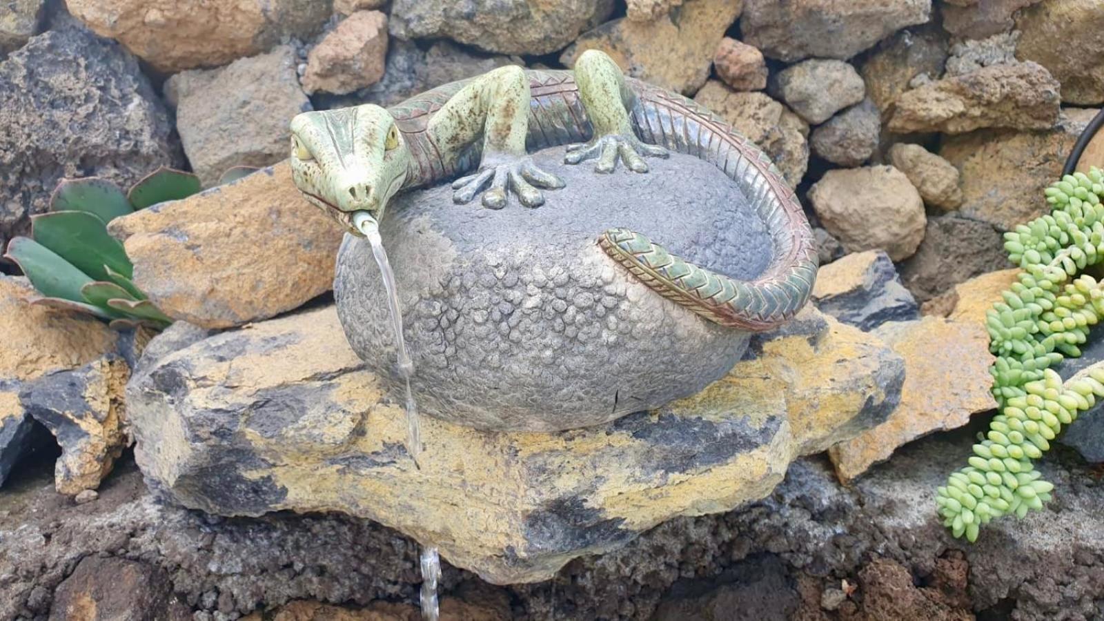 Finca Maracuya Ел Пасо Екстериор снимка
